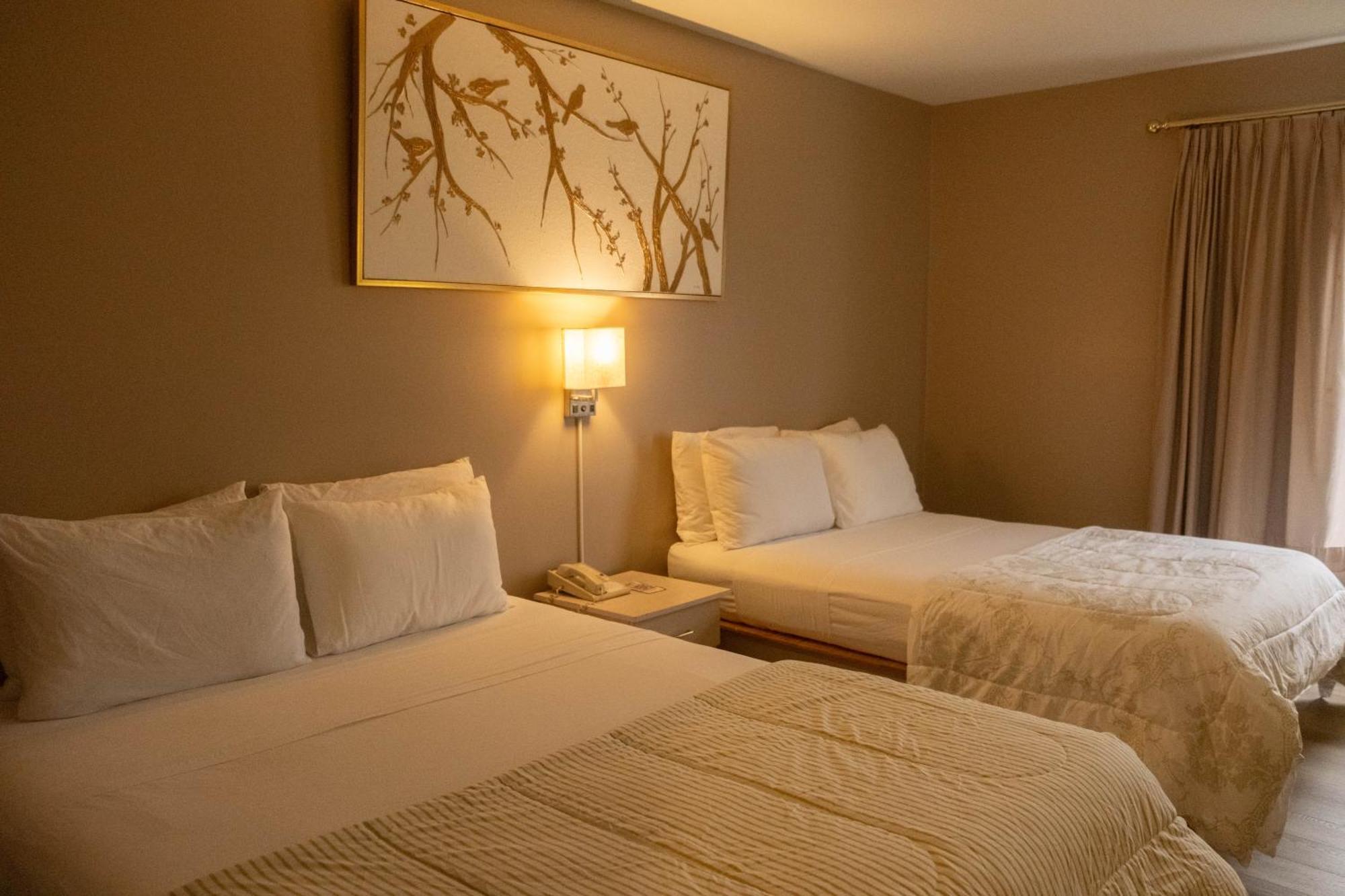 Hotel Saint-Come מראה חיצוני תמונה